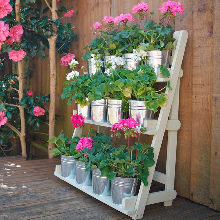 looking-after-your-bedding-plants-my-unique-home