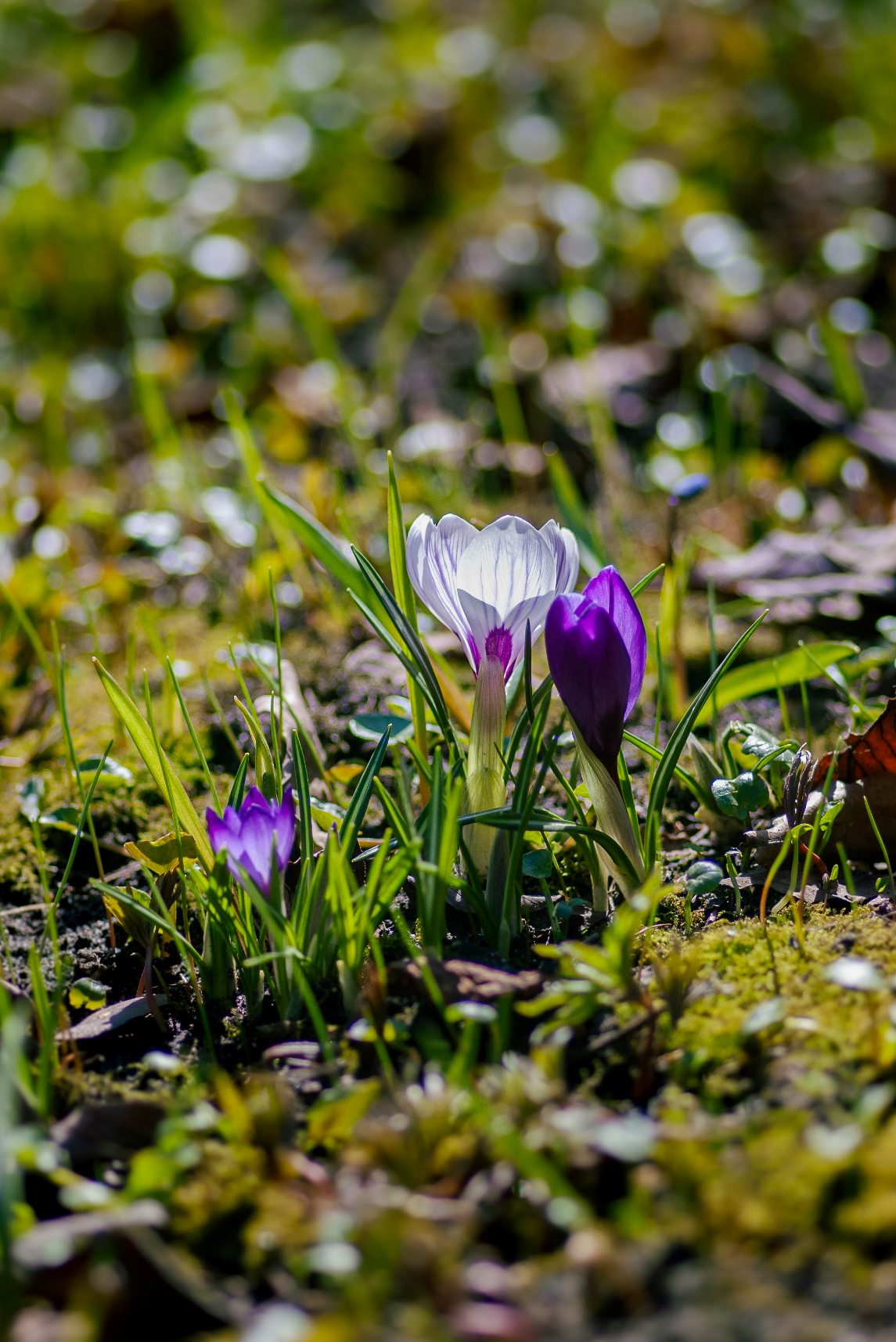 get-ahead-of-spring-with-10-garden-cleaning-jobs-my-unique-home